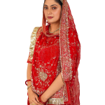 Red Aari Resham Sequins Work Poshak | Pure Georgette Collection | Jaipurio Designer Wear
